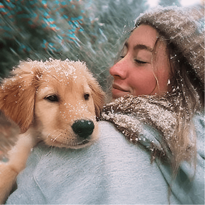 Плейлист Прогулка по лесу