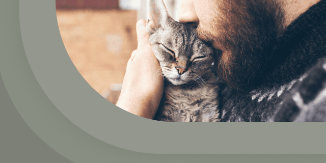 Плейлист Урчание котика