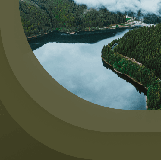 Плейлист Cercle: музыка из шоу