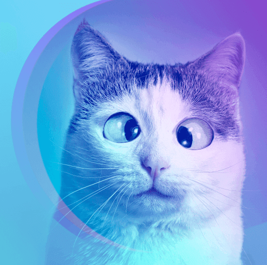 Плейлист Песни-мемы