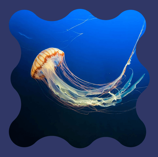 Плейлист Погружение в электронику HiFi