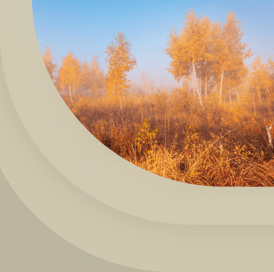 Плейлист Классика осени